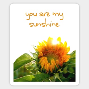 sunflower burst (you are my sunshine) Sticker